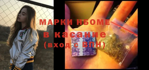 индика Володарск
