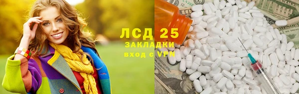 индика Володарск