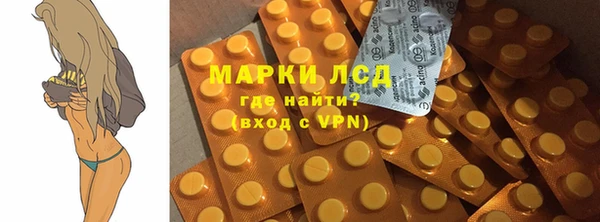 индика Володарск