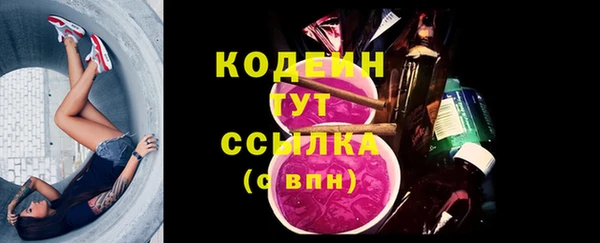 индика Володарск