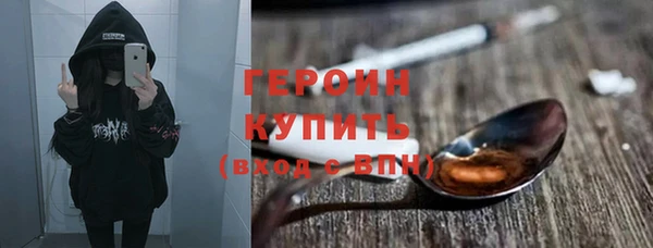 индика Володарск