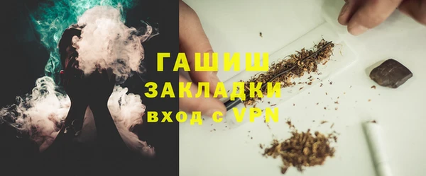 индика Володарск