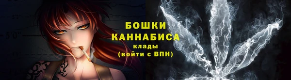 индика Володарск