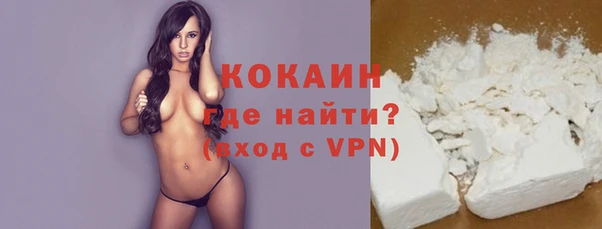 индика Волоколамск