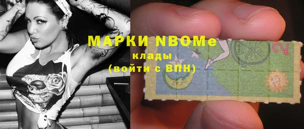 индика Волоколамск