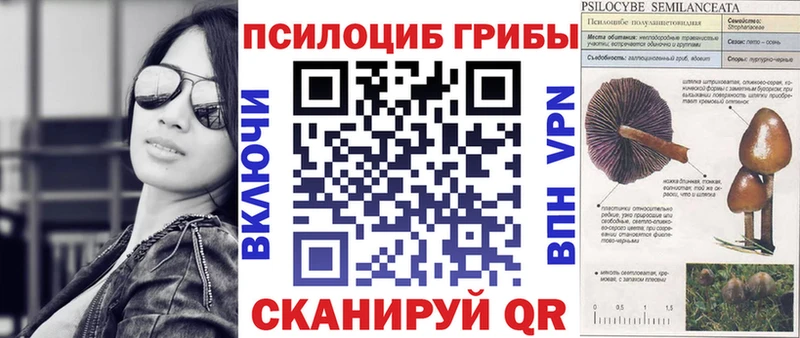 Псилоцибиновые грибы ЛСД  купить   Воскресенск 
